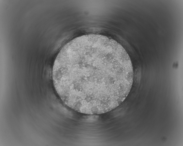 X0000112160474200909181452
