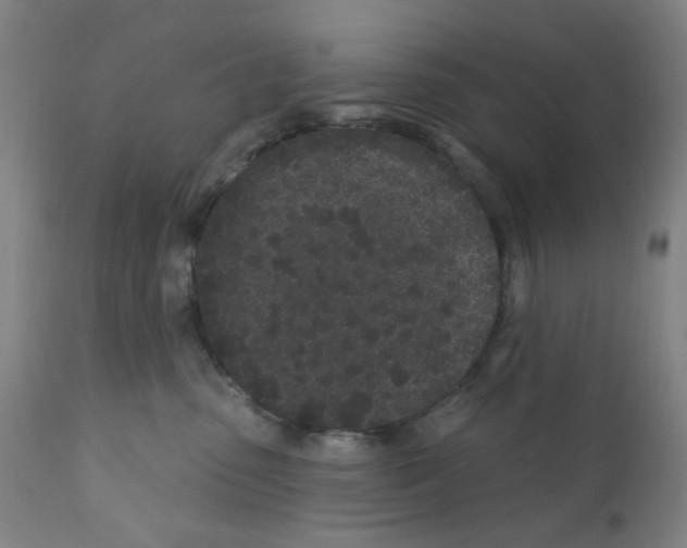 X0000112160475200909181452