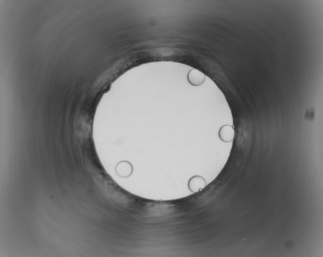 X0000112160476200909181452
