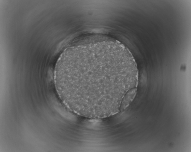 X0000112160478200909181452