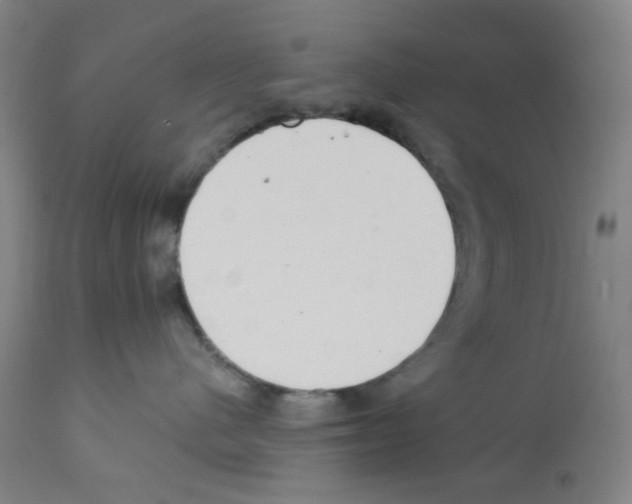X0000112160480200909181452
