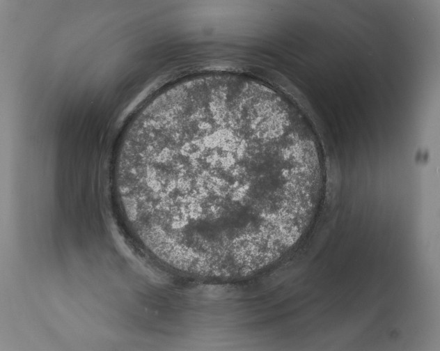 X0000112160482200909181451