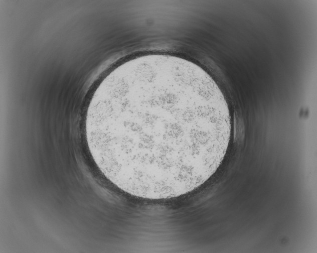 X0000112160483200909181451