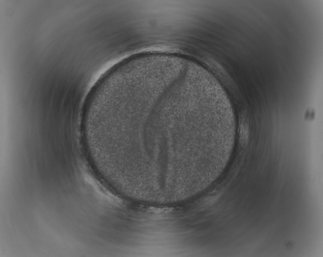 X0000112160484200909181451