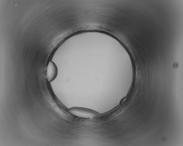 X0000112160485200909181451