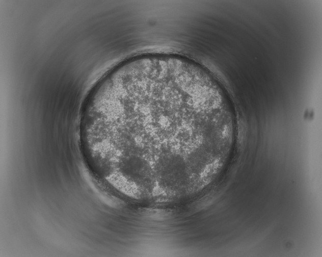 X0000112160486200909181451