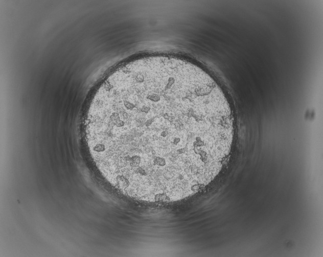 X0000112160487200909181451