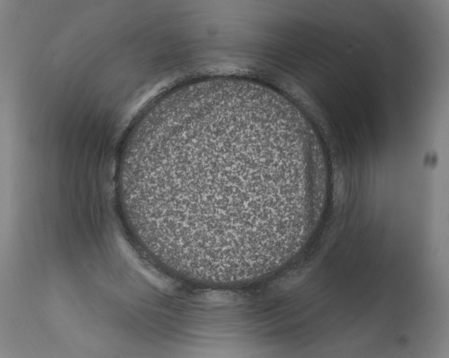 X0000112160490200909181451