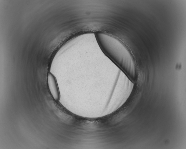 X0000112160493200909181451