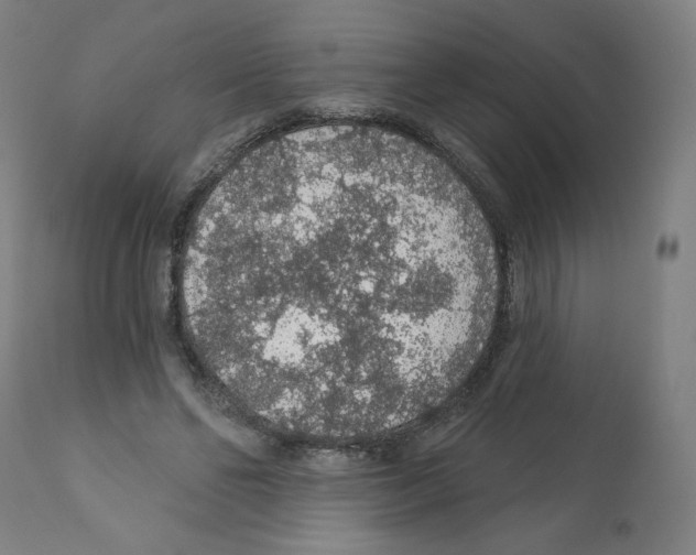 X0000112160494200909181451