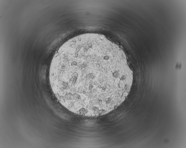 X0000112160495200909181451