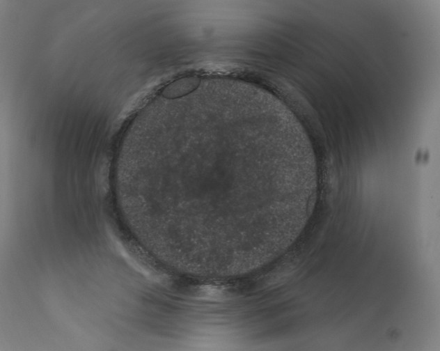 X0000112160496200909181451