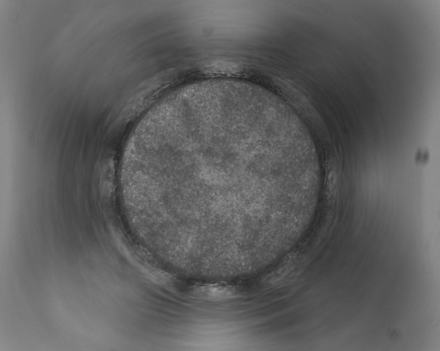 X0000112160498200909181451