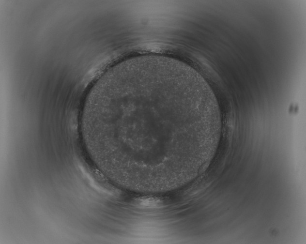 X0000112160500200909181451