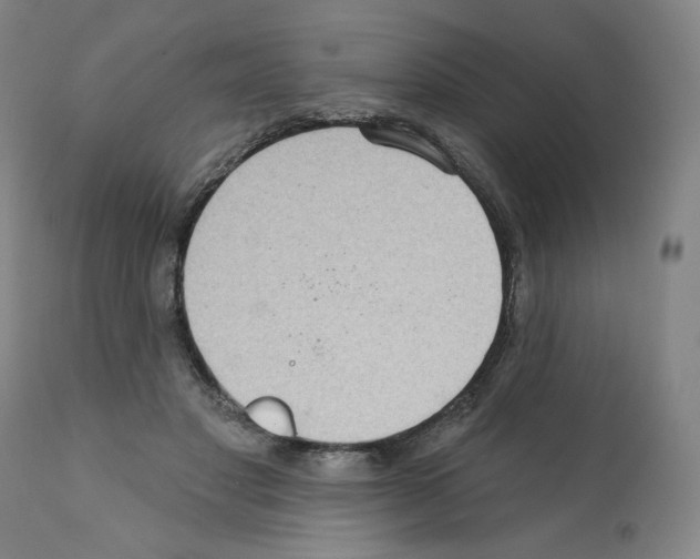 X0000112160501200909181450