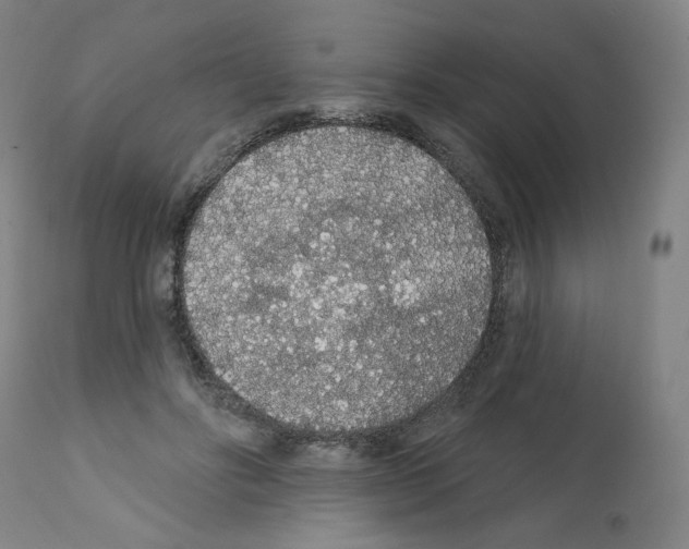 X0000112160502200909181450