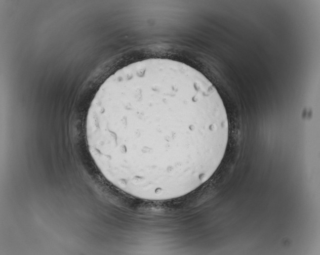 X0000112160503200909181450
