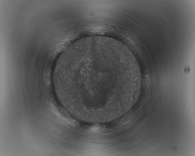 X0000112160504200909181450