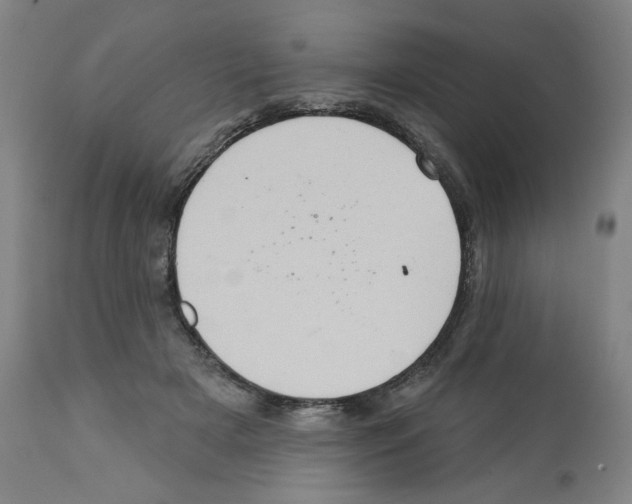X0000112160505200909181450