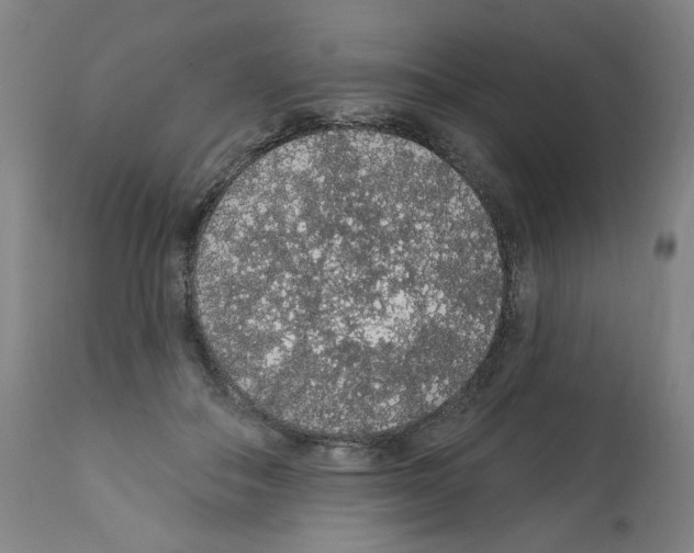 X0000112160506200909181450