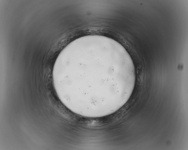 X0000112160507200909181450