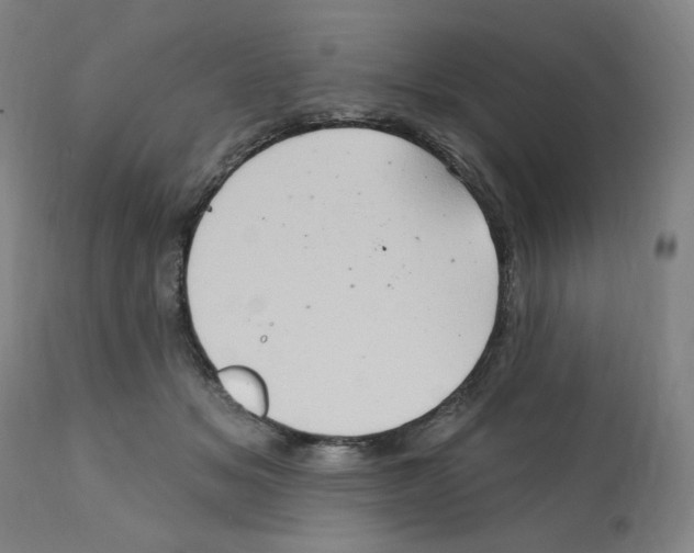 X0000112160509200909181450