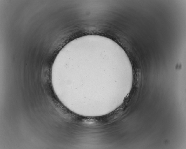 X0000112160511200909181450