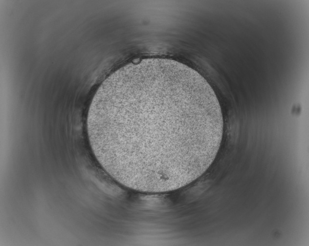 X0000112160516200909181450
