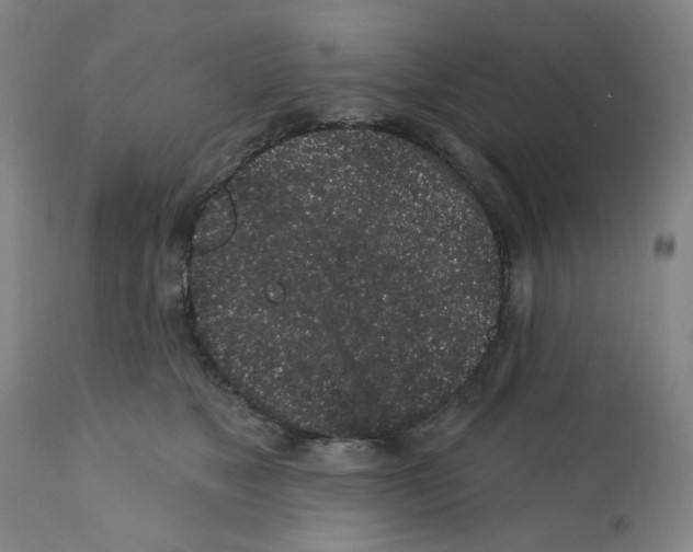 X0000112160517200909181450