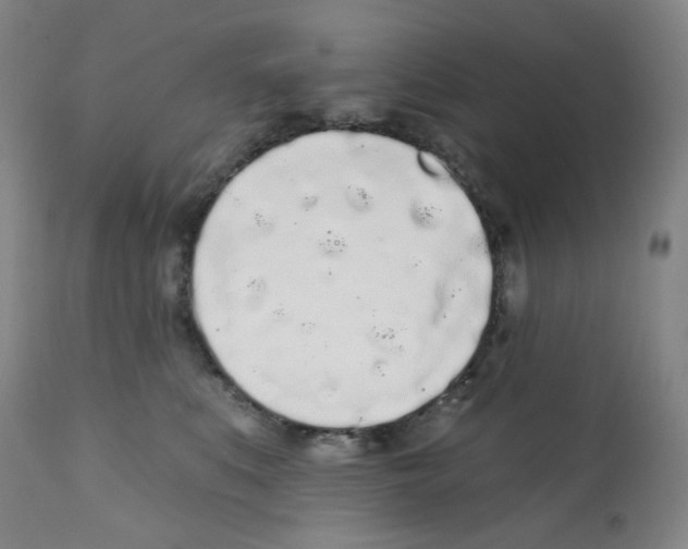 X0000112160519200909181450