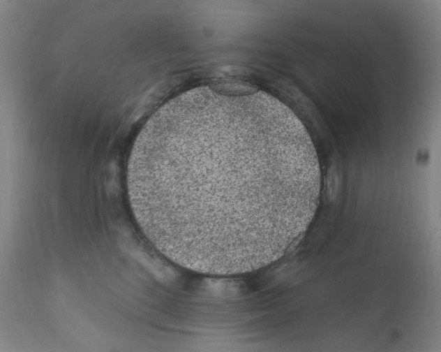X0000112160520200909181450