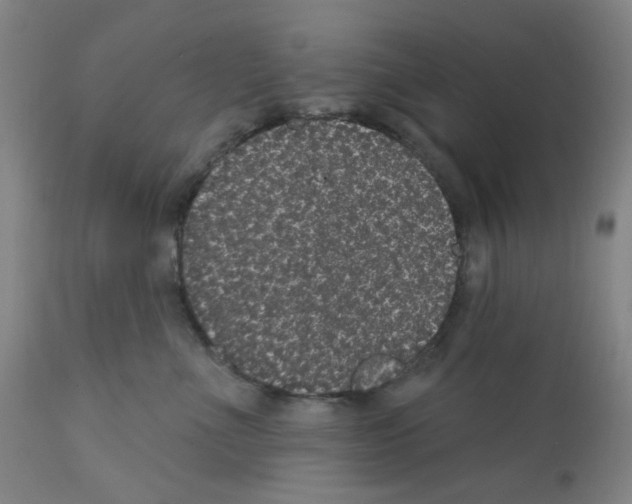 X0000112160523200909181450