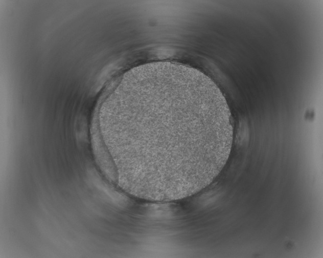 X0000112160524200909181450