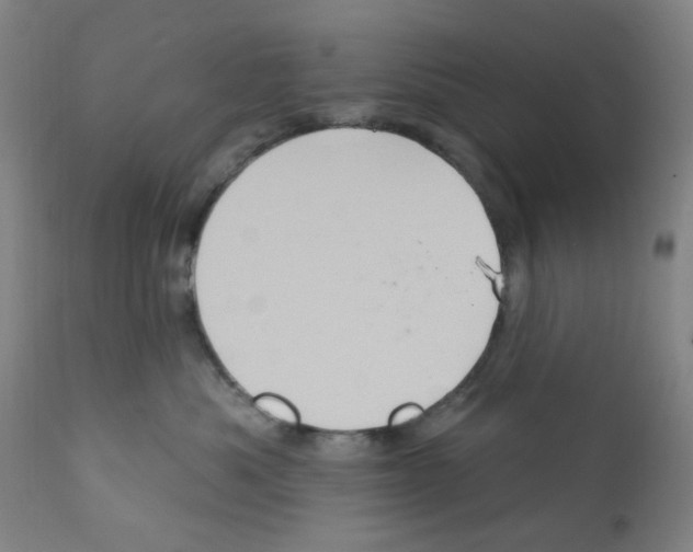 X0000112160525200909181450