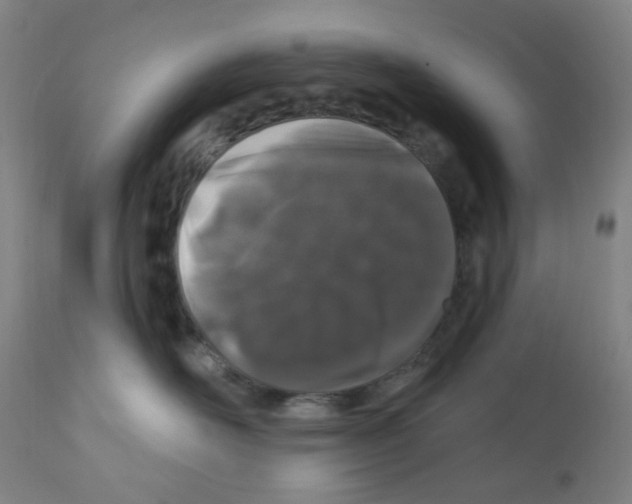 X0000112160526200909181450