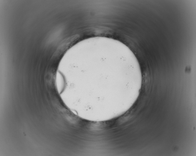 X0000112160527200909181450
