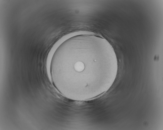 X0000112160528200909181450