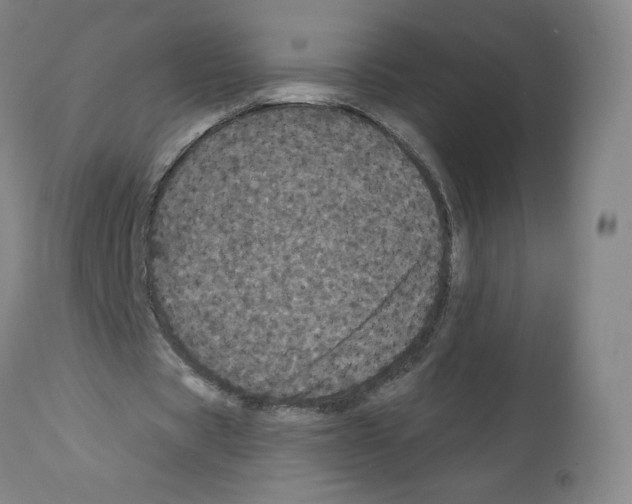 X0000112160529200909181449