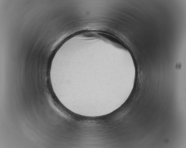 X0000112160530200909181449
