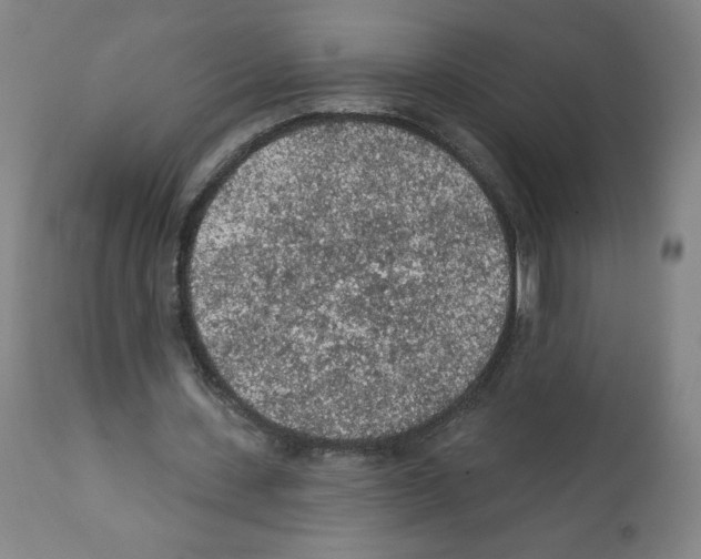 X0000112160531200909181449