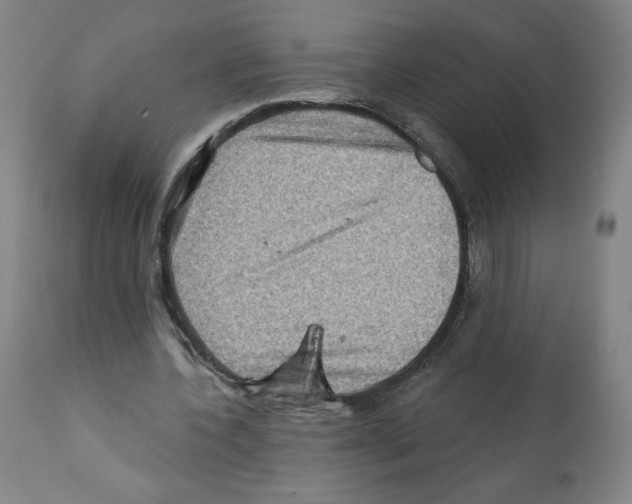 X0000112160532200909181450