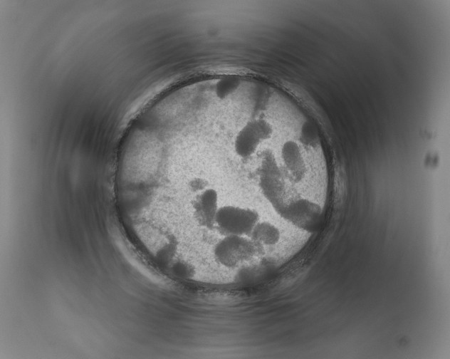 X0000112160533200909181450