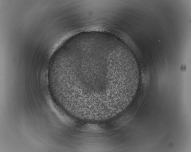 X0000112160534200909181450