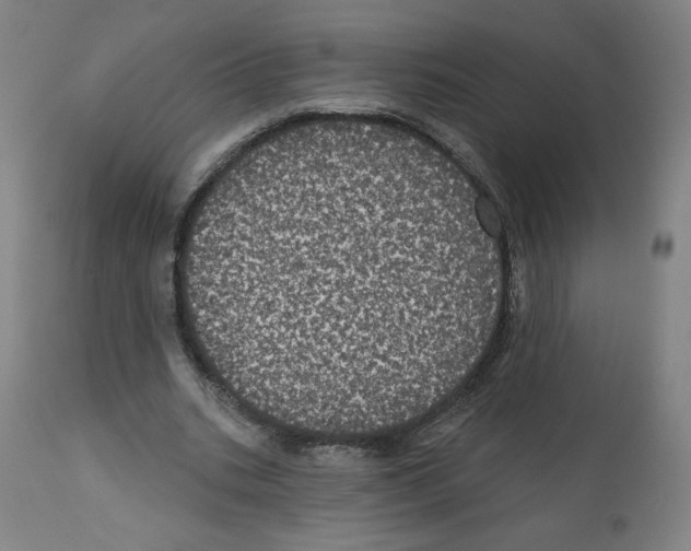 X0000112160535200909181450