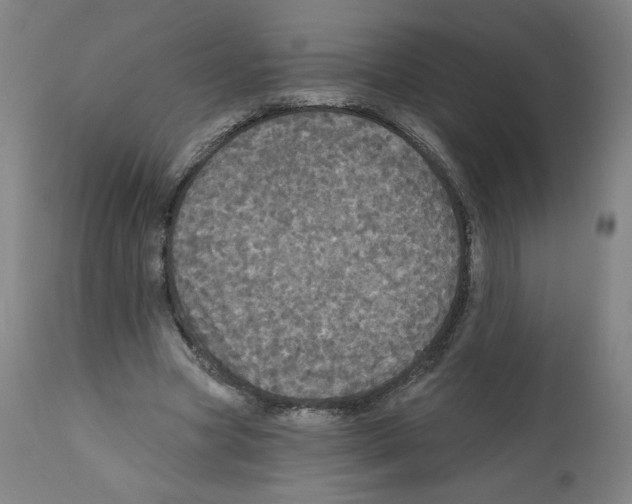 X0000112160537200909181450