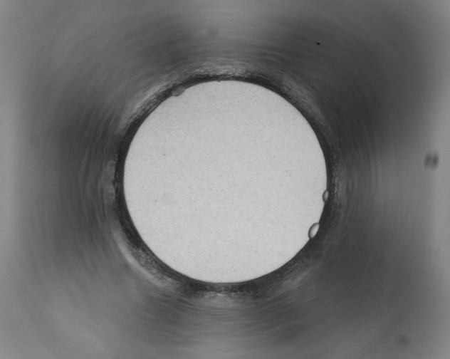 X0000112160538200909181450