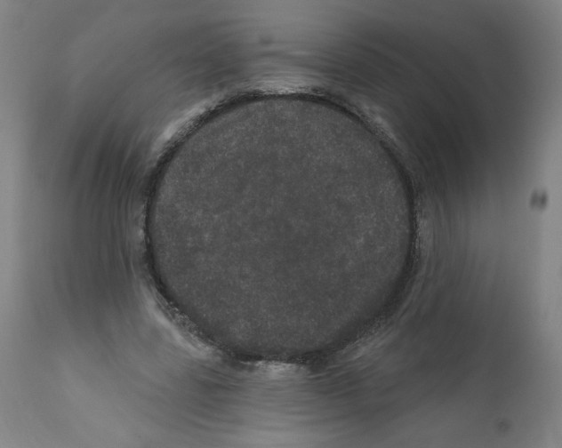 X0000112160539200909181450