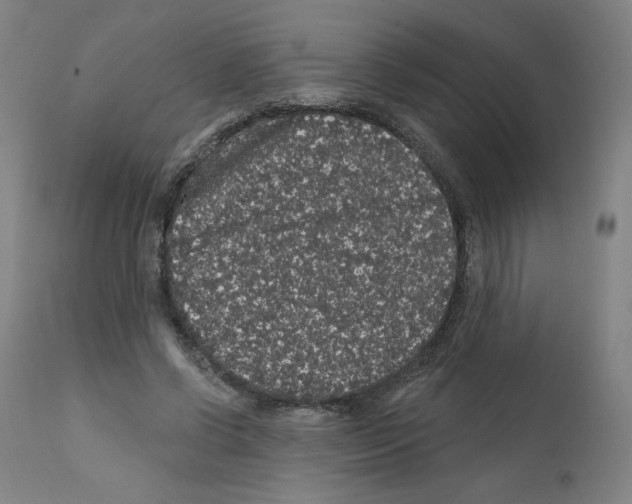 X0000112160542200909181450