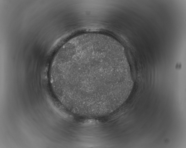 X0000112160543200909181450