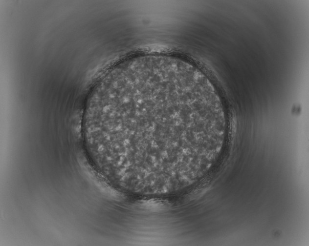 X0000112160545200909181450